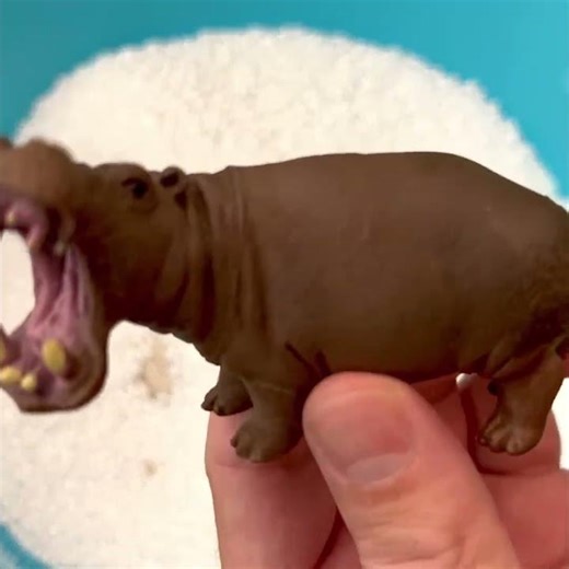 Zebra Hippo Boar – White Foam Chain Toss!