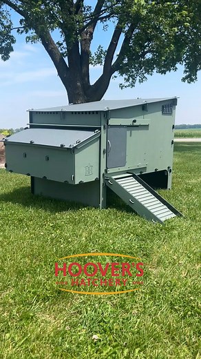 Take a closer look 👀🐔 Our new Hoover’s Hatchery® Coop is here — built with recycled materials, designed for easy cleaning, and made to keep your flock safe comfortable. Now available here https://bit.ly/4nIBbXq on TractorSupply.com 🏡✨ | Hoover's Hatchery