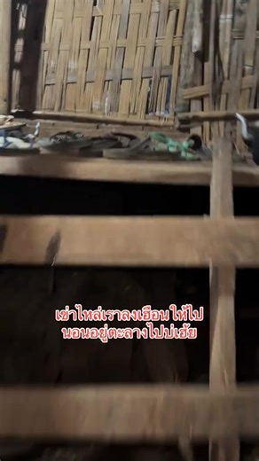 มอมแม้ม: เรื่องเล่าและการสนทนา