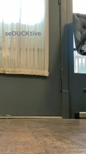 Incredible Marathon Journey of a Pet Duck Sensation