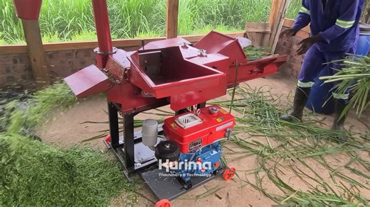 Kurima Machinery on Instagram: "We have a range of hand-fed silage cutter machines. Invest in your herd, start making nutritious feed for your livestock. 🐄 #KurimaMachinery #SilageCutter #FarmEquipment #Agriculture #LivestockFeed"