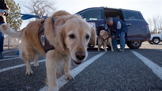 Counselors offer advice for families dealing with trauma after Aztec shooting