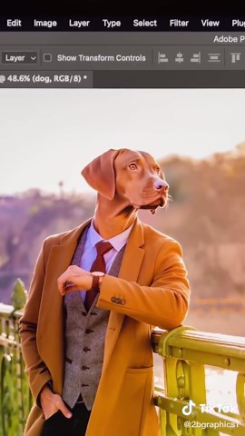 Swap Heads in Photoshop: Fun and Creative Techniques