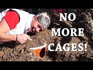 Best Bucket Burrow for Raising Rabbits