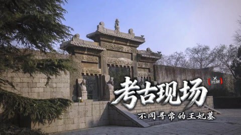 X档案·考古现场第四季 第4集 不同寻常的王妃墓