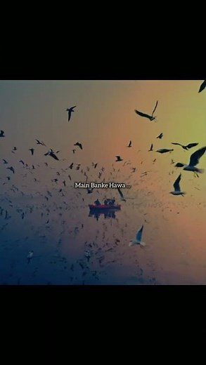 ❤️ Phir Bhi Tumko Chahunga | Arijit Singh | Half Girlfriend | # Heart Touching Aesthetic Lyrics ✨