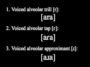 Alveolar Trill, Tap and Approximant（英語発音聴取用）