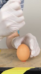 Making a Homunculus 🧬​ #recipe #dna #homunculus #howto #science #reels | The Action Lab