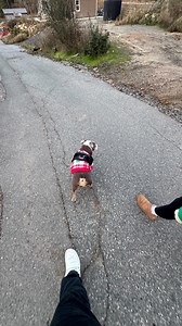 26K views · 909 reactions | “Trust in the Lord with all your heart and lean not on your own understanding; in all your ways submit to him, and he will make your paths straight.” Proverbs 3:5-6 | Caden McDonald | Facebook