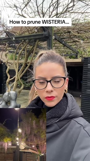 How to Prune Wisteria for Stunning Blooms