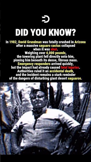 The Cactus FELL On Him #history #facts