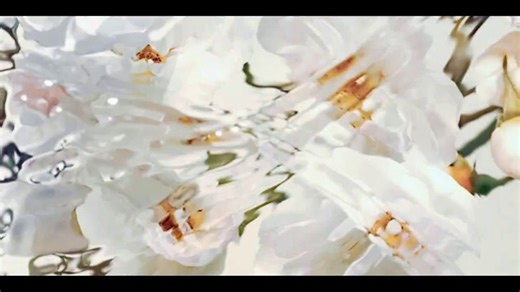 Dior J'Adore TV Spot, 'Oro y blanco' canción de Barry White