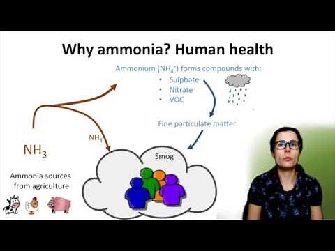 A1 Reducing on-farm ammonia emissions: Overview of ammonia emissions from agriculture