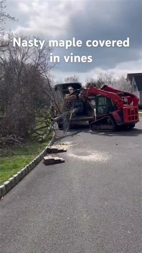 SVL75 drags whole tree to Vermeer BC 2100 XL ￼