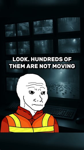 When Hundreds of Birds Dropped Out of the Sky 🐦