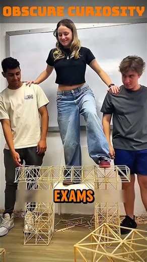 they built a toothpick bridge capable of supporting a human #curious #curiosity #bridge #engineering