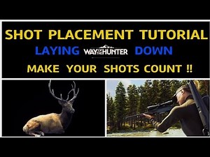 SHOT PLACEMENT tutorial. LAYING DOWN guide Way of the hunter