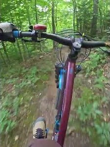 Fern Gully black tech trail at Stratton Bile Park #mtb #gopromax2
