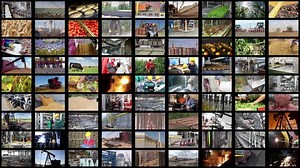 Video wall montage industrial production. People working in a factory, construction, agriculture, steel mill, foundry, power plant, food industry, bakery, sunflower oil, blacksmith shop, control room,