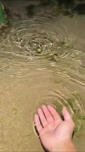 #tiktok #animals #foryou #fyp #viral | Oregon Zoo