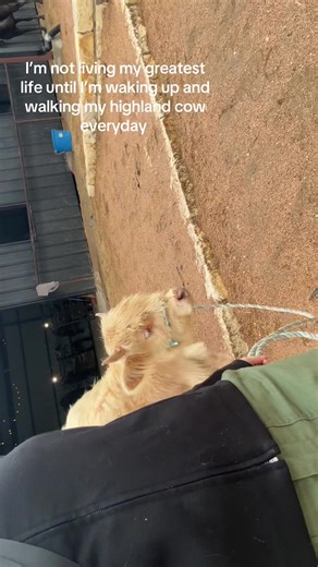 Sarah Derp (@yungdelpy)’s videos with original sound - ace