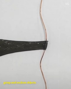 9.9K views · 94 reactions | Slime that can be controlled by a magnetic field can navigate tight spaces and grasp objects. It could be used inside the body to perform tasks like retrieving objects swallowed by accident. | New Scientist | Facebook