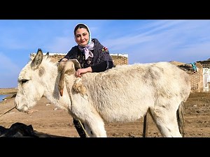 Wild Goose Hunting & Stubborn Donkey! (Catching 5 Quails) 🪿