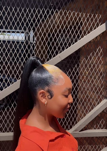 Stylish Ponytail with Skunk Stripe for Trendsetters