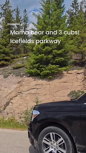 14K views · 249 reactions | Road Warrior aka R-Dub on Reels | Facebook