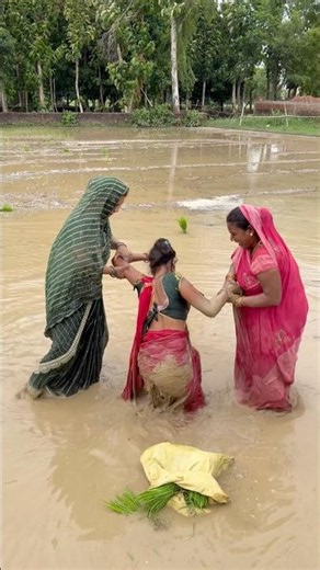 प्रिया गिर गई पानी में #amarnathsdk #shortvideo #shorts