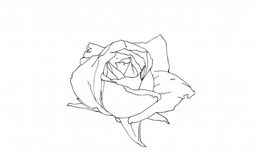 overlays分享及两种使用方法