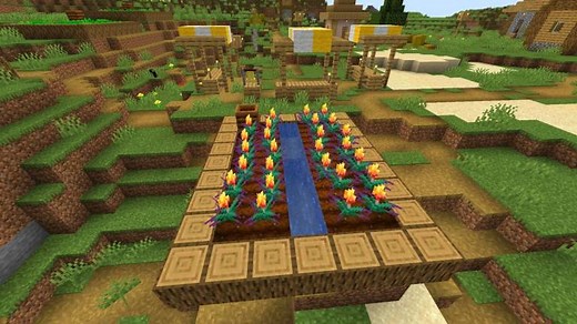 Minecraft — How to Get Torch Flower Seeds