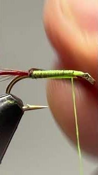 #flytying #flyfishing brown diawl Bach
