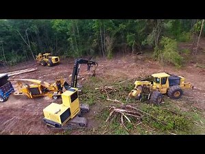 Hill Logging 2017
