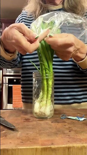 Produce Storage Tips to Keep Vegetables Fresh Longer | Scallions, Cilantro & More