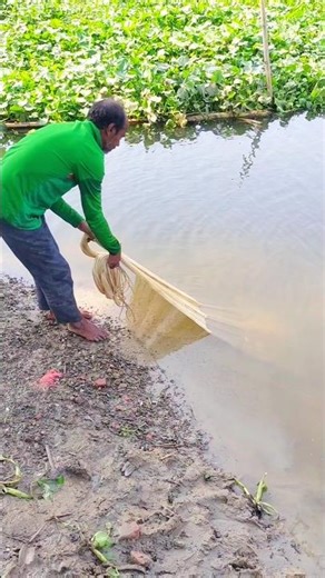 Fishing with a gill net. #fishing #fishspecies #fish #freshwaterfish #handfish