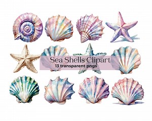 Ocean Sea Shell Clipart Seashell Clipart Watercolor Sea Shell Digital Sticker Beach Clipart Ocean Elements Clipart Sea Shell Png - Etsy