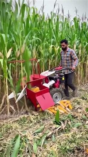 🌽 Revolutionizing Harvest: The Efficiency of the Portable Mini Corn Harvester #shorts #farming