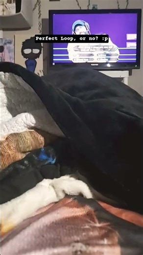 Perfect loop, or no? :p 〔〕 #idk #random #randompost #loop #perfectloop #idunno #imbored #endlessloop