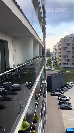 and the distant signs make for good reading... 🤪 🤣 #pigeons #bird #birdpoop #birdpoo #pigeonpoop #poop #birdphotography #nature #animalfail #rentersparadise #epicfail #messyfail #fail #fblifestyle | FailArmy