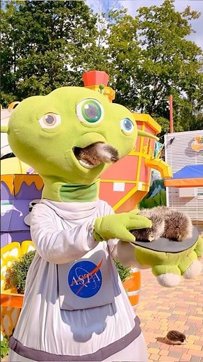 The Hedgehog Aliens Who Inspired Sonic