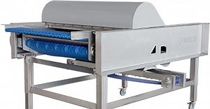 Coffee Cherry Sorting