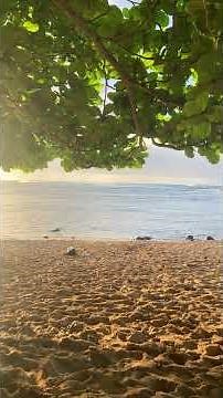 HANALEI BAY, HI