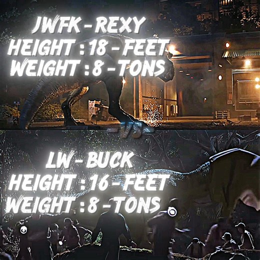 LW buck VS JWFK Rexy #jurassicworld #jurassicpark #buck #rexy #tyrannosaurus