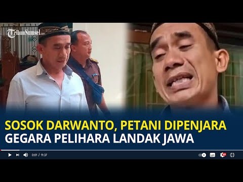 Sosok Darwanto, Petani Madiun Dipenjara Gegara Pelihara Landak Jawa, Tak Tahu Dilindungi