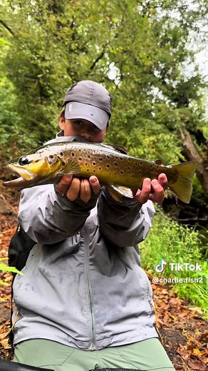 How to Catch Lake Trout Successfully
