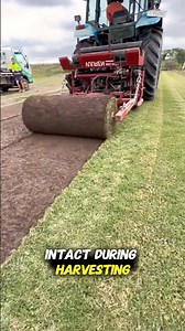 This is the process of harvesting sod #knowledge #farming #knowledgeocean #fypシ