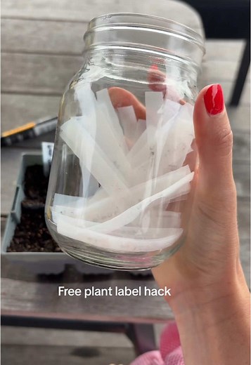 DIY Seedling Labels from Recycled Milk Bottles