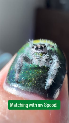 Matching with my spood! Isn’t he gorgeous? 🥹 little recessive boy from mama Scarlet 💚 | Spoody Haven