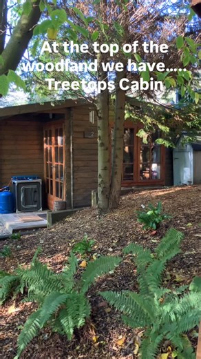 11 reactions | Whitby Log Cabins on Reels | Facebook